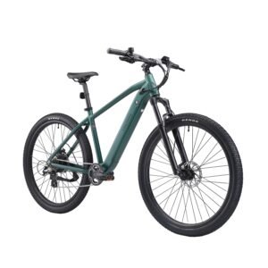 vélo tout terrain électrique 29" avalanche l/xl vert